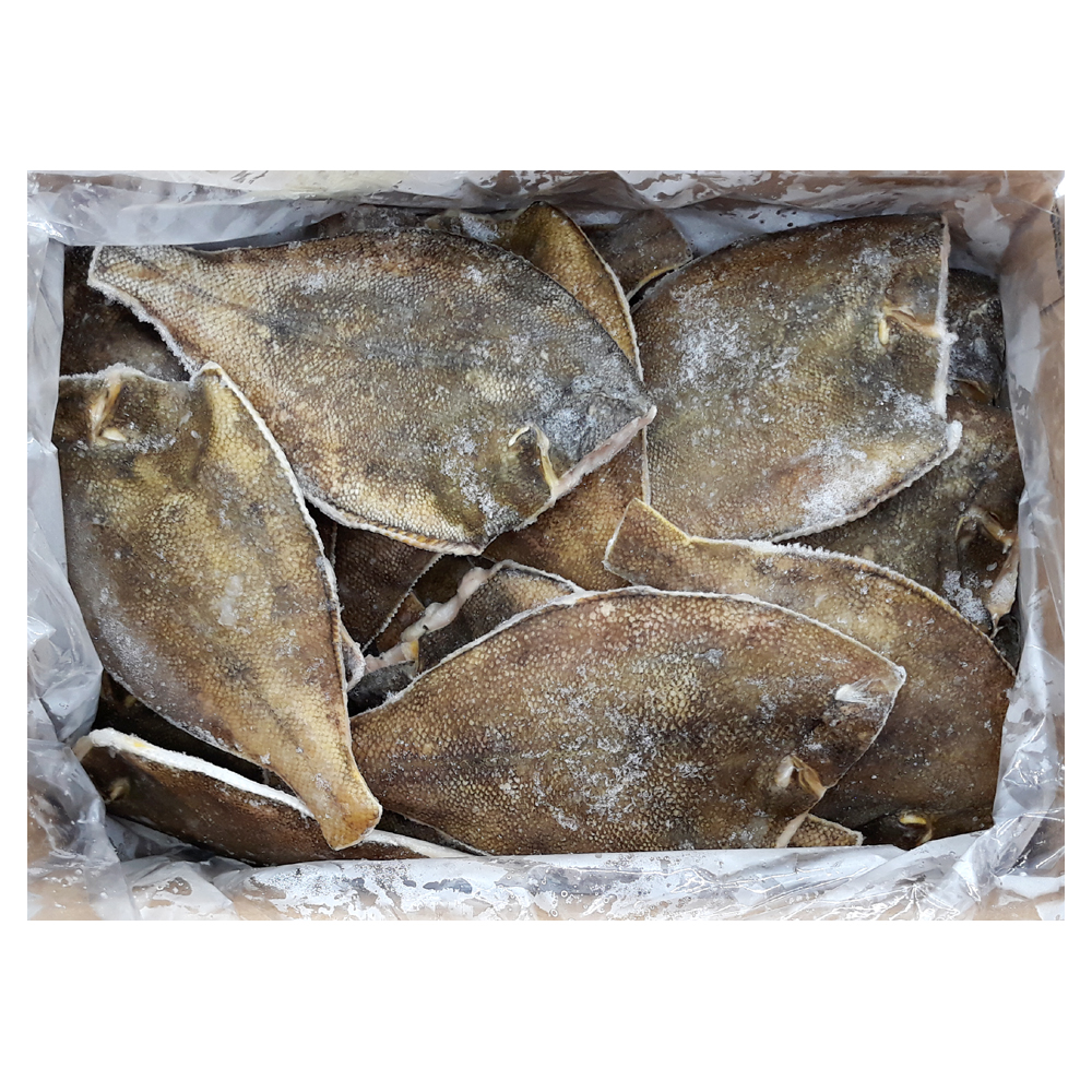 엘케이)두절 가자미 4.5kg(150/200)