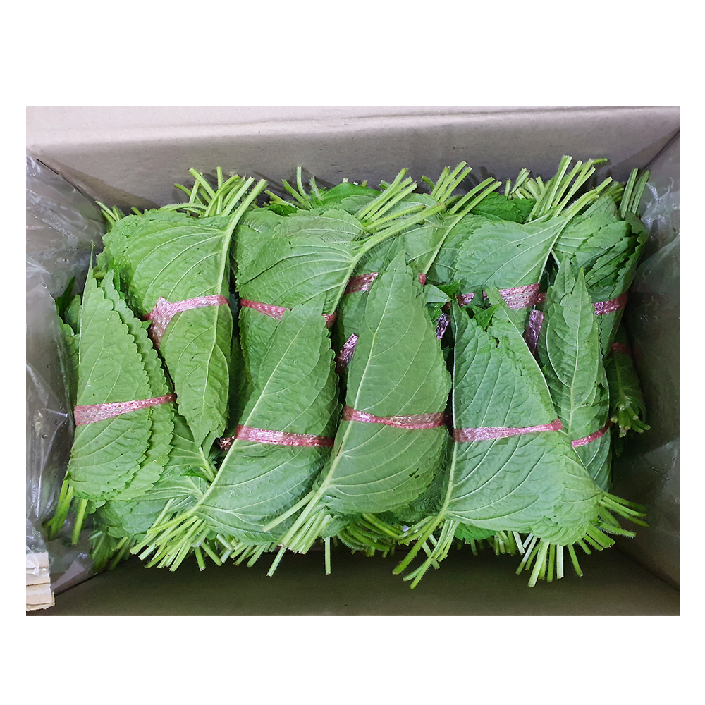 (박스)깻잎 2kg