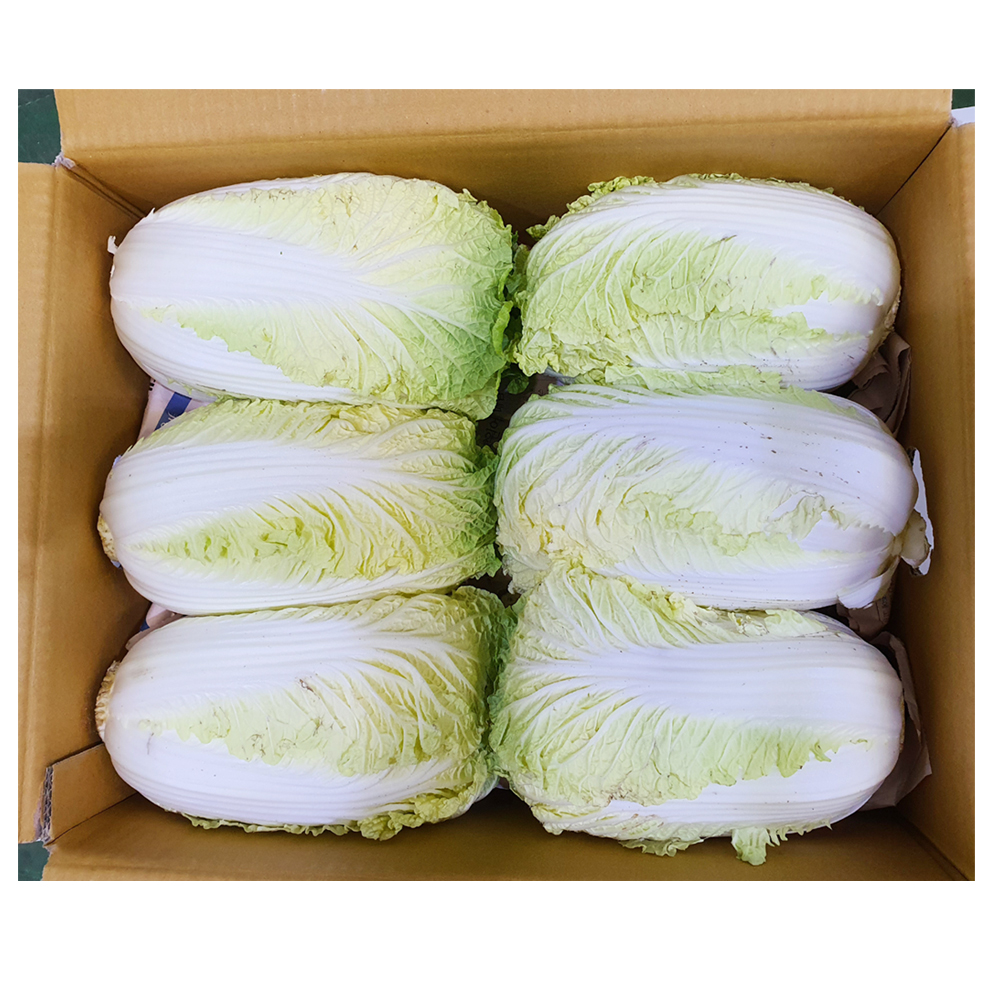 (박스) 알배추