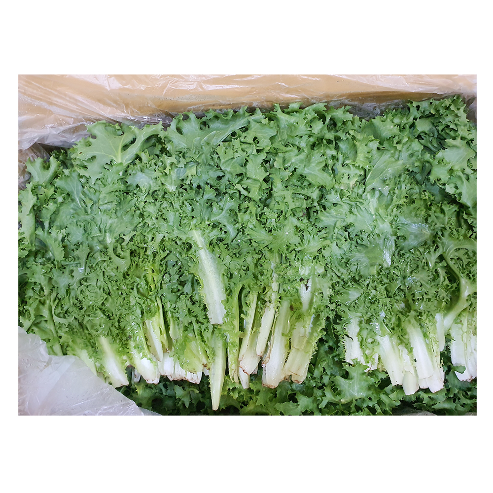(박스) 치커리 2kg